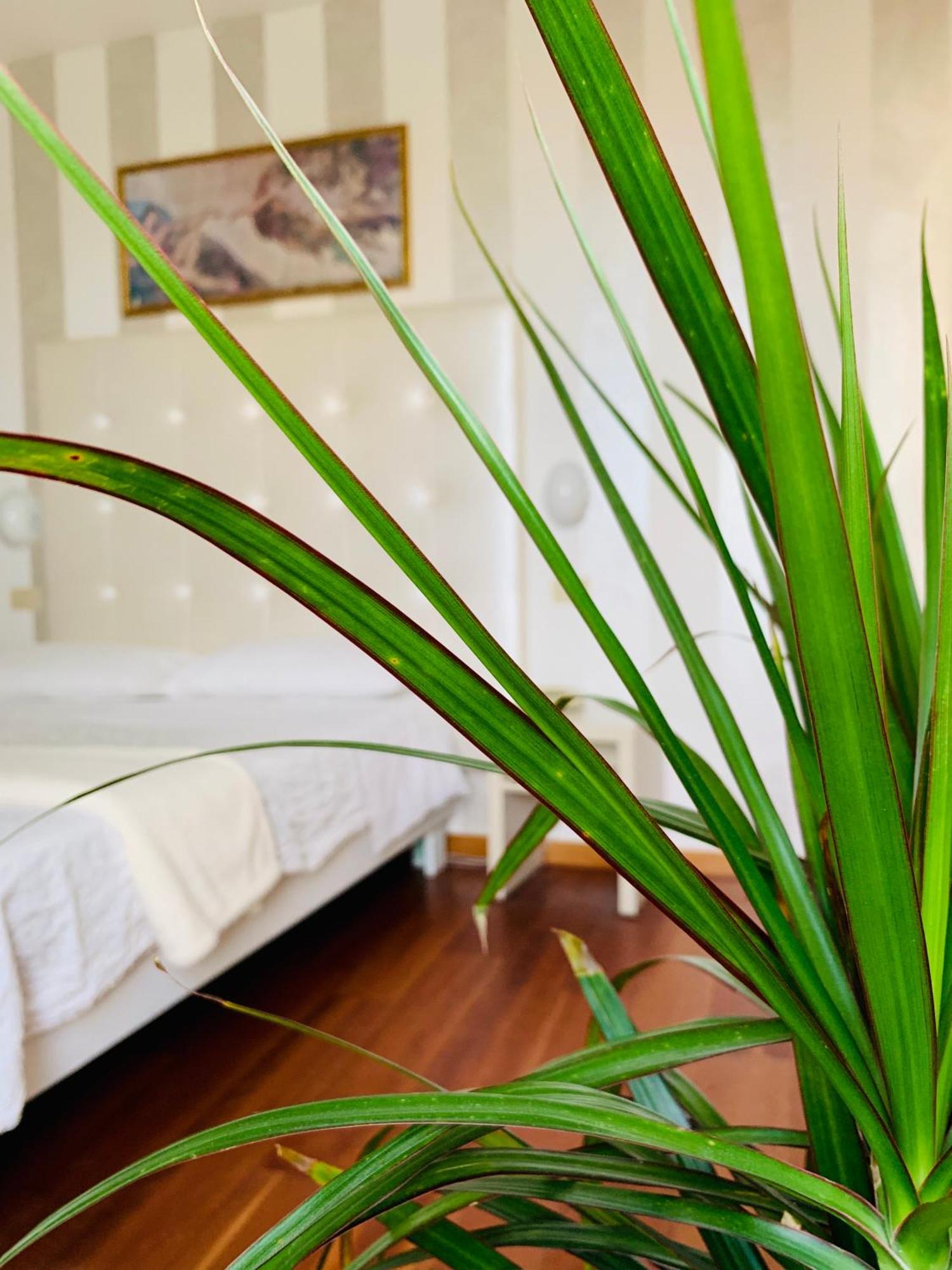 Hotel Baby B&B มิลาโน แมริตทิมา ภายนอก รูปภาพ